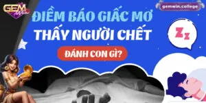 Mơ Thấy Người Chết Đánh Con Gì? Gợi Ý Con Số May Mắn