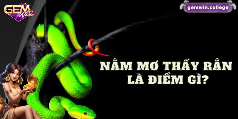 Mơ thấy rắn báo hiệu điềm gì?